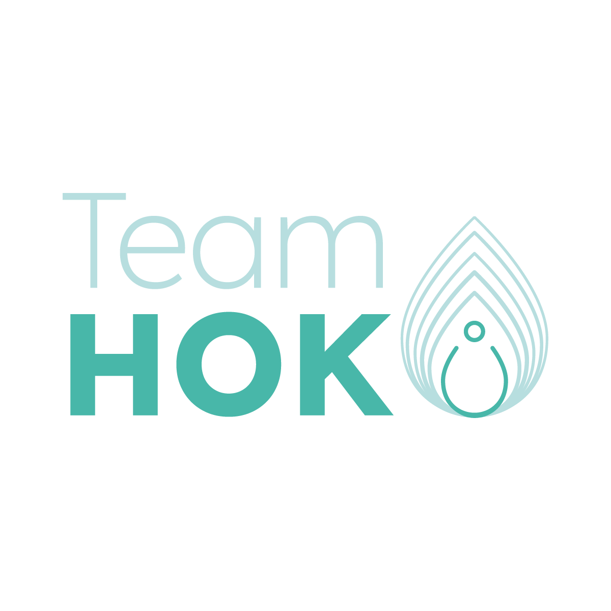 Team HOK